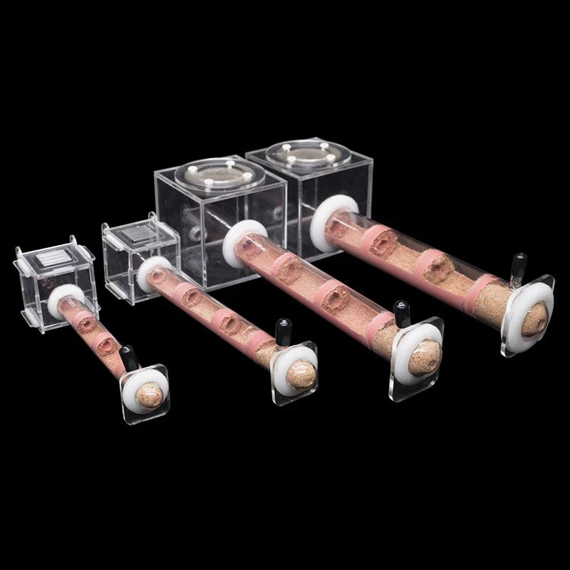 DIY Various Size Ant Farm Bamboo Tube Nest - MyPetDollar.com
