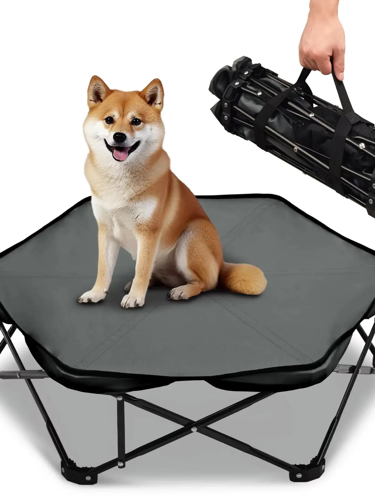 Folding Elevated Dog Bed Portable Camping Pet Cot Breathable – Dog Supplies