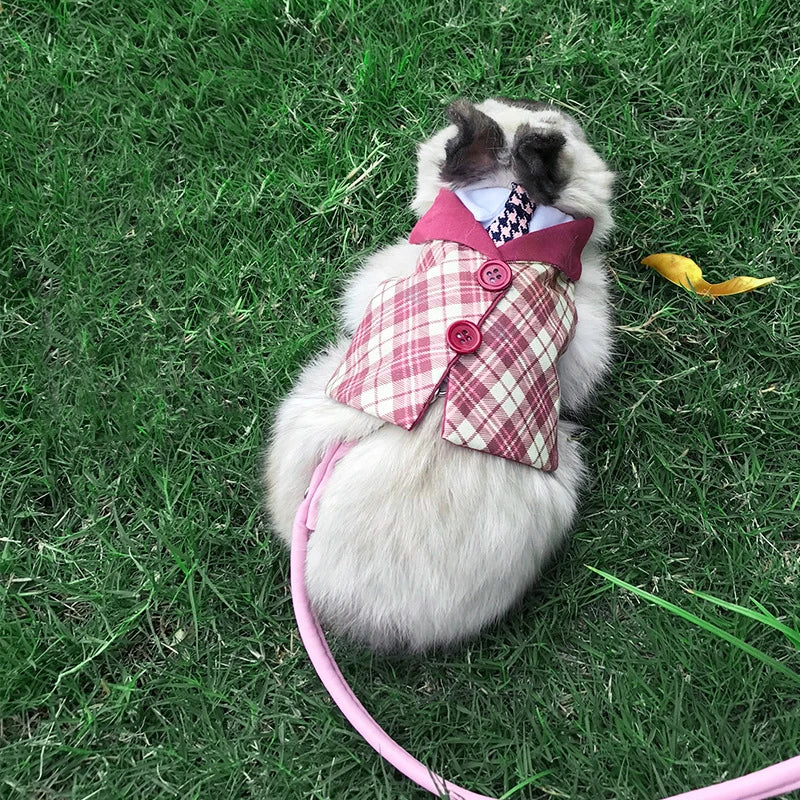 Preppy Style Pet Rabbit Harness and Leash - MyPetDollar.com