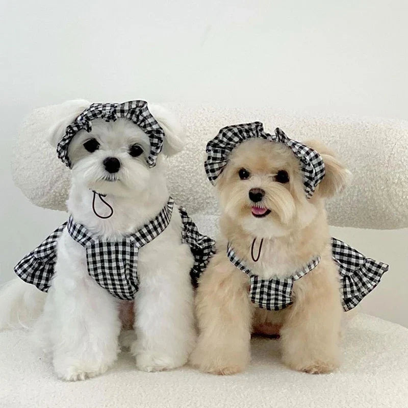 Dog Clothes Summer Luxury Pet Plaid Striped - MyPetDollar.com