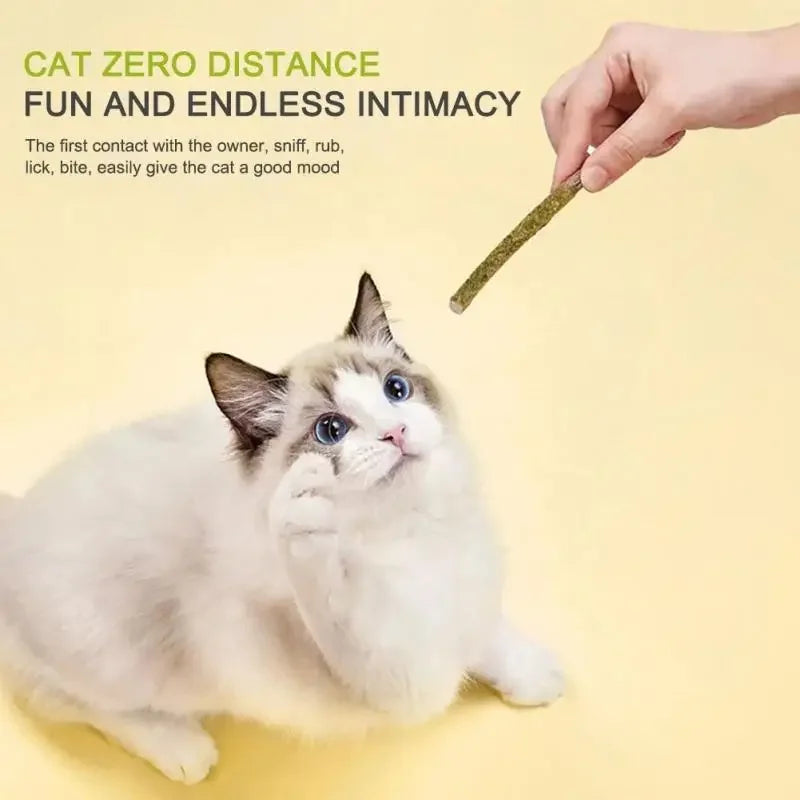 6pcs Natural Matatabi Cat Stick Mint Caught - MyPetDollar.com