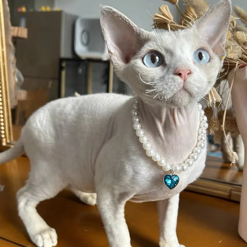 Fashion Luxury Beaded Pearl Pet Choker Multi - MyPetDollar.com
