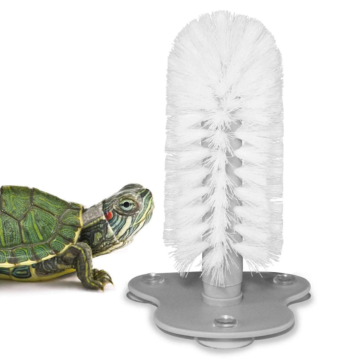 Turtle Brush Suction Cup Soft Bristles Shell - MyPetDollar.com