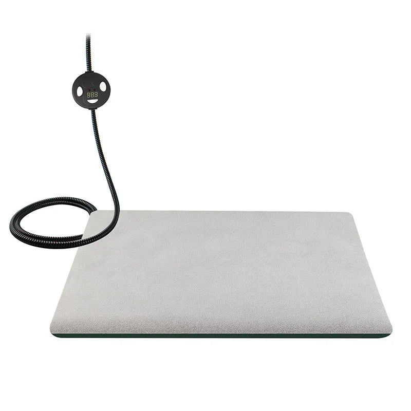 Warm Pet Electric Blanket with Temperature Control Intelligent Dog
