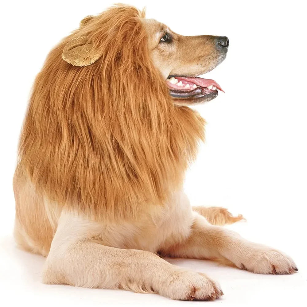 Large Dog Ears, Pet Accessories Cute Role Playing Costumes – Dog Supplies