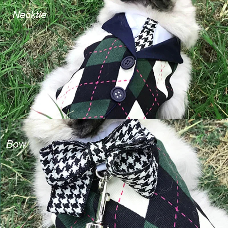 Preppy Style Pet Rabbit Harness and Leash - MyPetDollar.com
