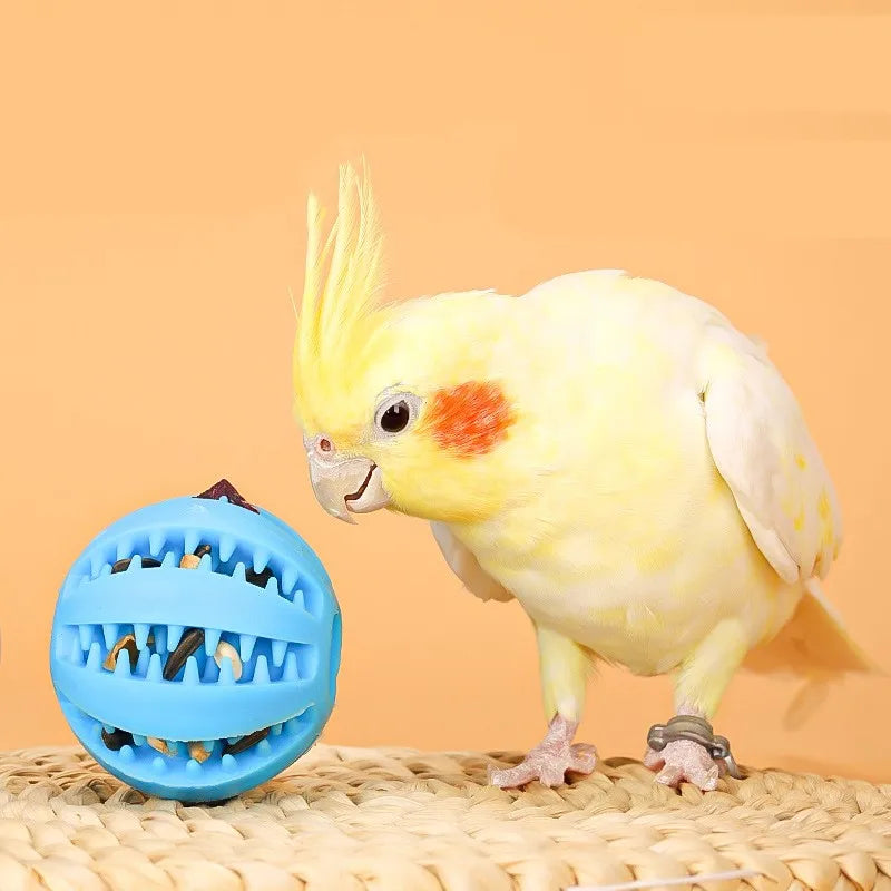 Natural Rubber Pet Dog Toys Dog Chew Toys - MyPetDollar.com