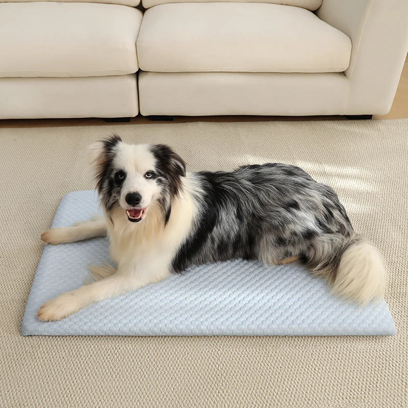 New Summer Ice Silk Cooling Pet Mat Thick - MyPetDollar.com
