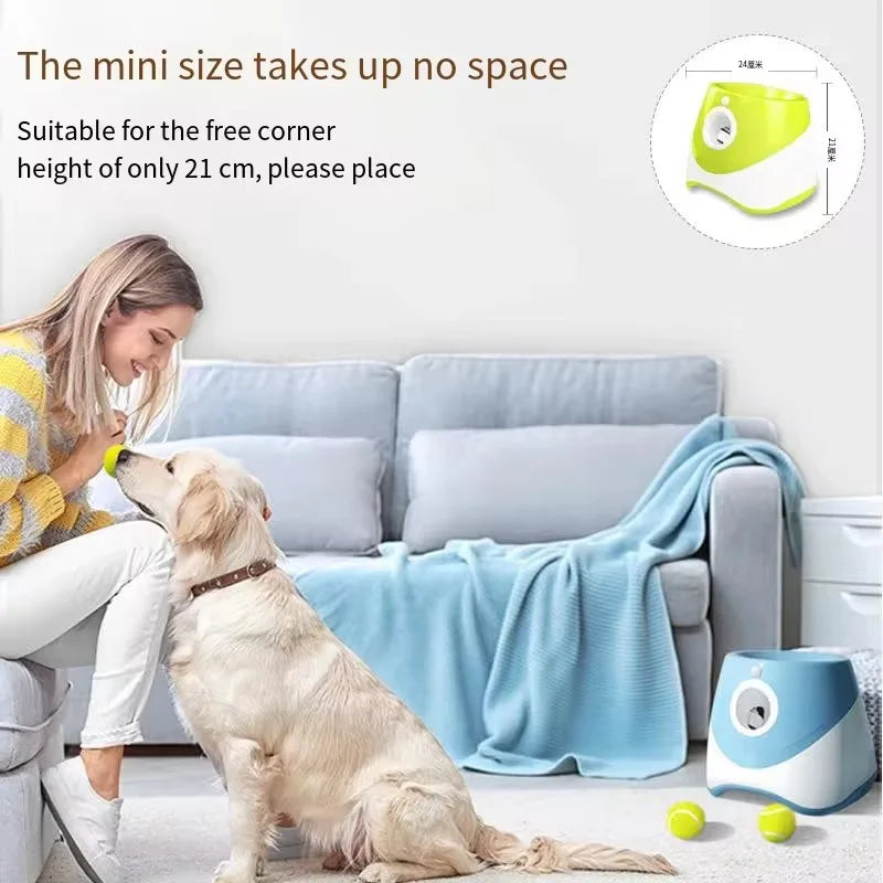 Outdoor Throwing Rechargeable Automatic Dog - MyPetDollar.com