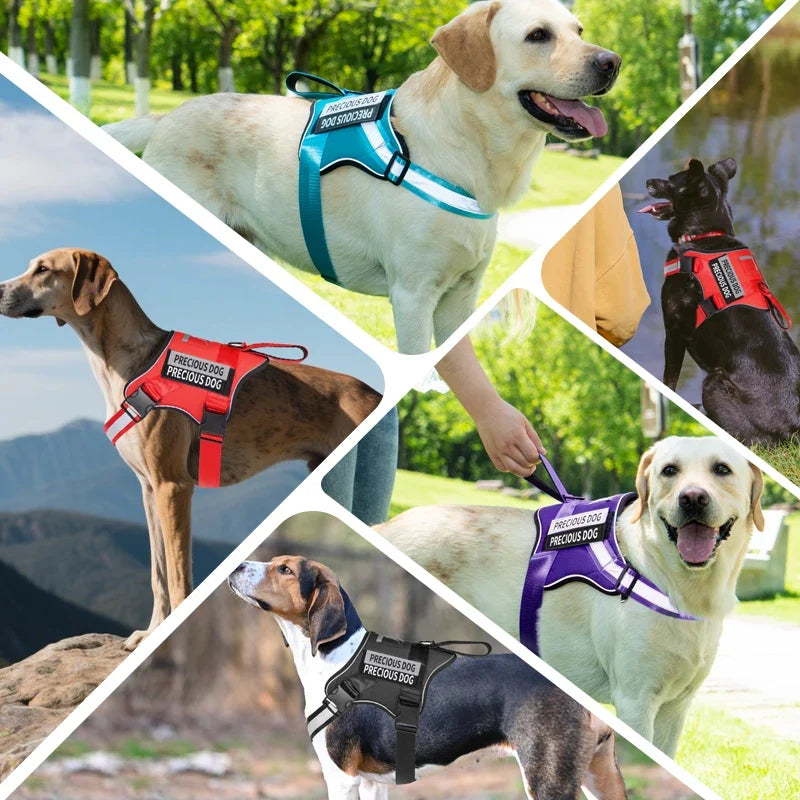 Dog Harness Reflective Breathable and - MyPetDollar.com