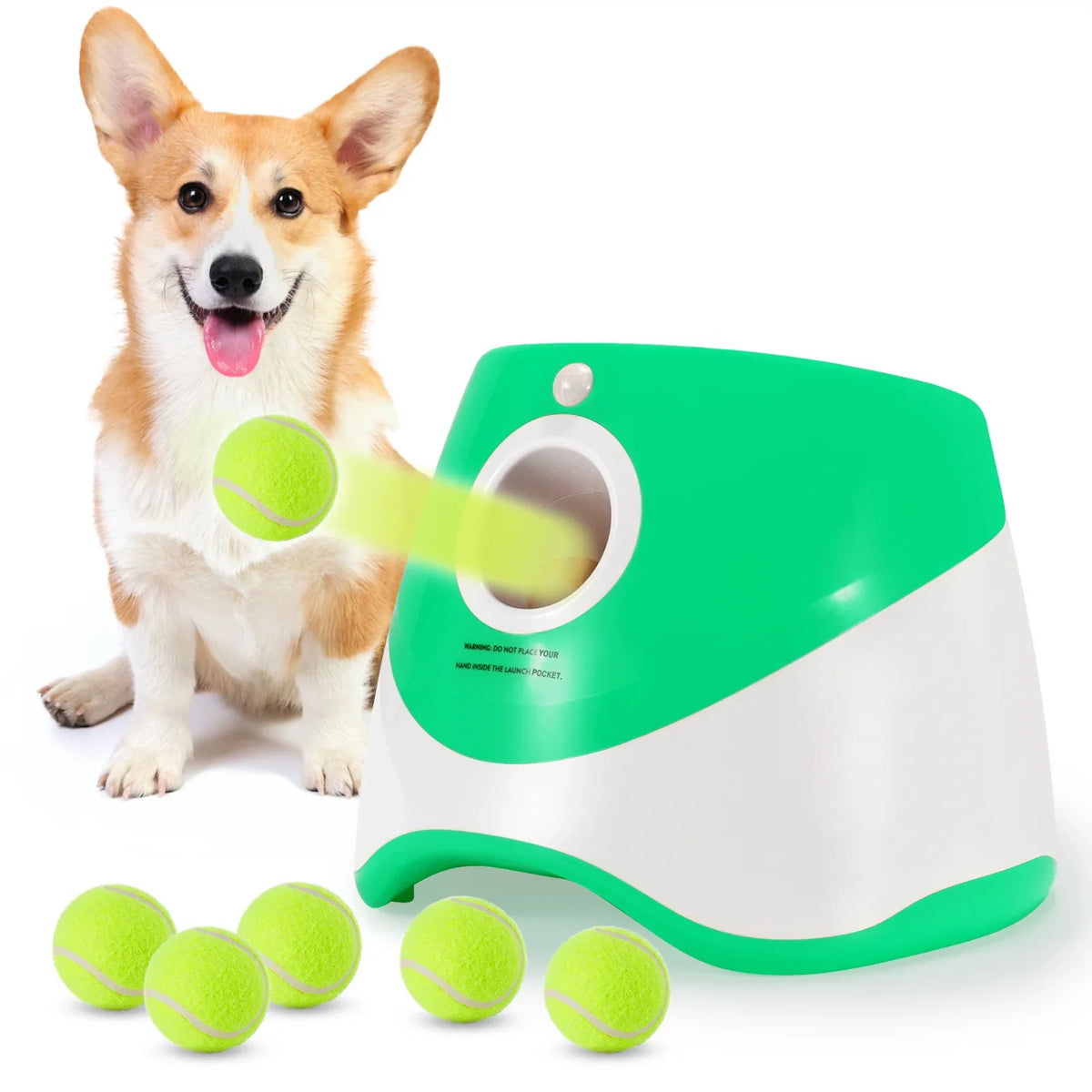 Outdoor Throwing Rechargeable Automatic Dog - MyPetDollar.com