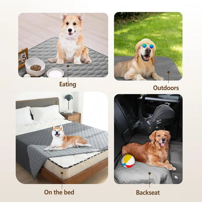 Waterproof Pet Blanket, Bed and Sofa - MyPetDollar.com