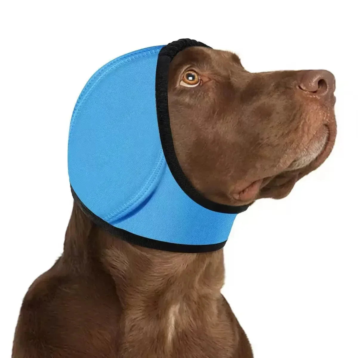 1pc Pet Grooming Hood, Dog Calming Cap Ear - MyPetDollar.com