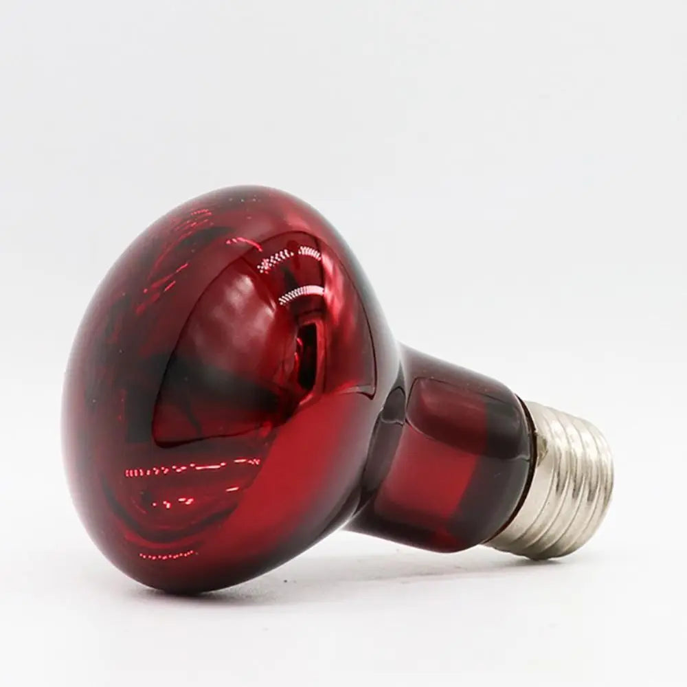 Night Light UVA Led Pet Heating Lamp - MyPetDollar.com