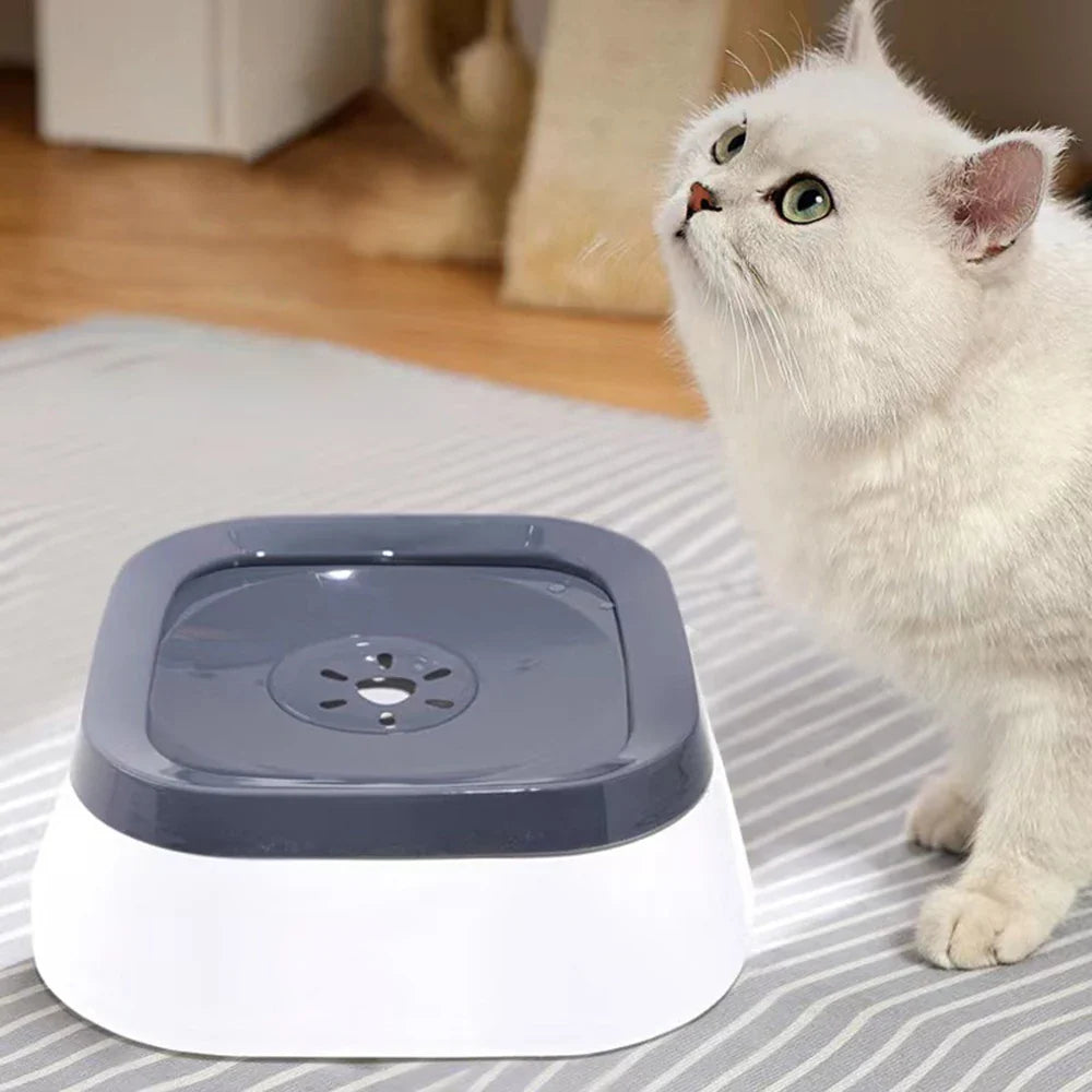 Outdoor Pet Floating Water Basin, Water - MyPetDollar.com