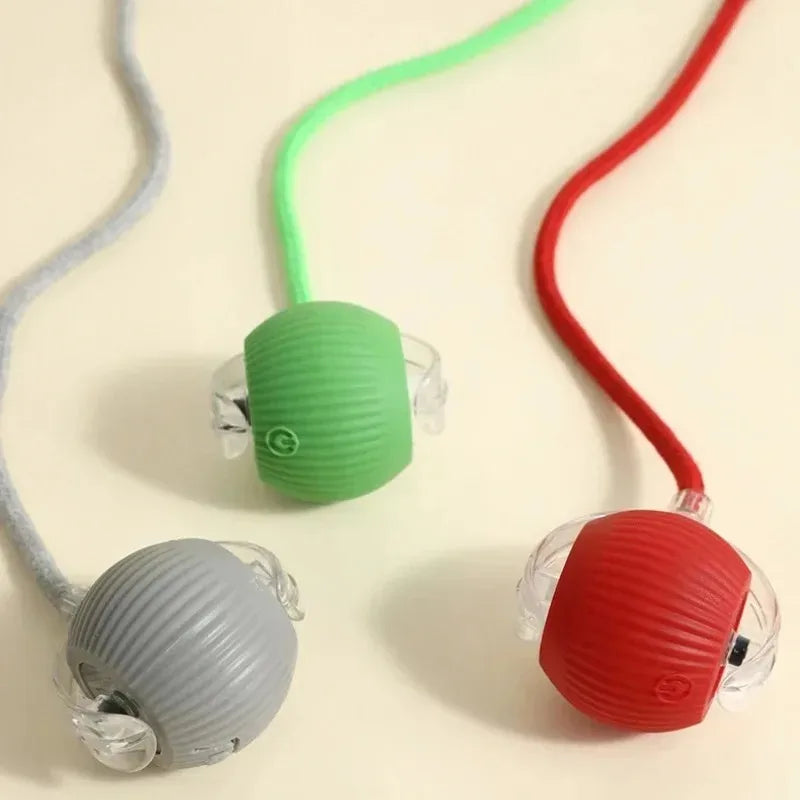 Dog Interactive Ball Toy Automatic Rolling - MyPetDollar.com