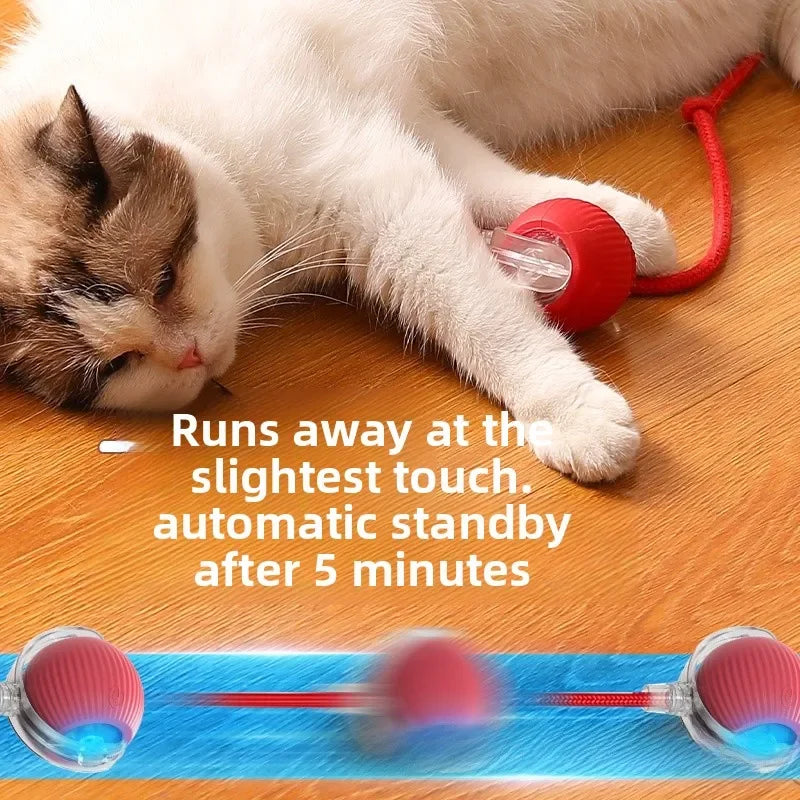 Cat Toy Ball Interactive with String Durable - MyPetDollar.com