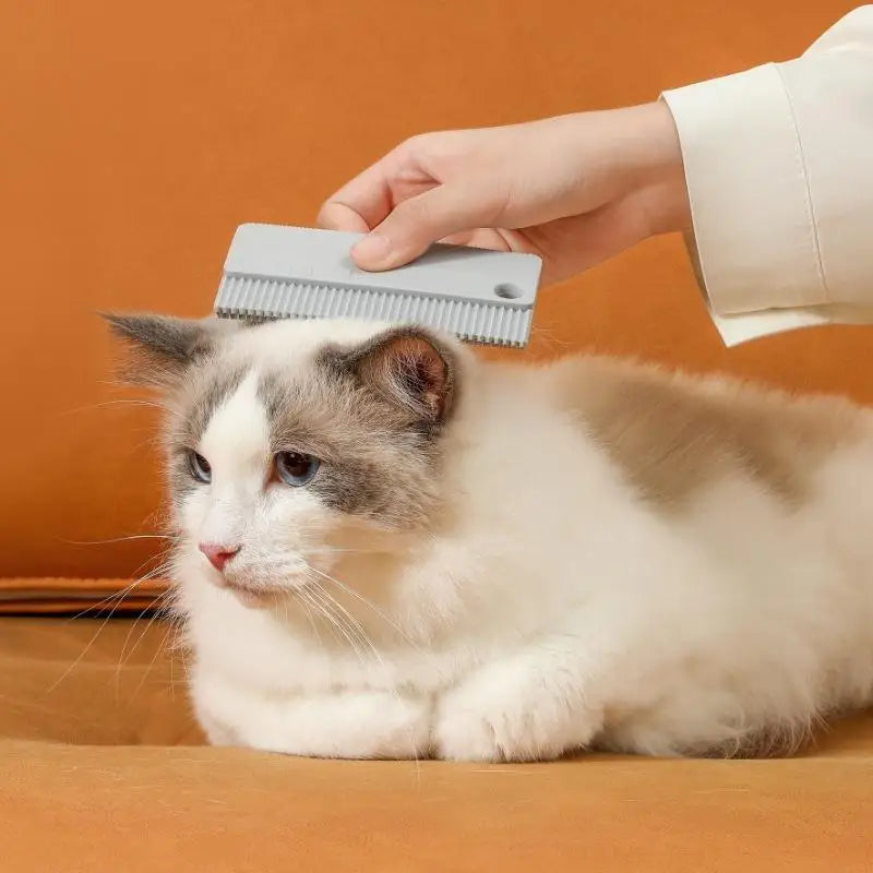 Pet Hair Removal Brush Cat Fur Scraper Dog - MyPetDollar.com