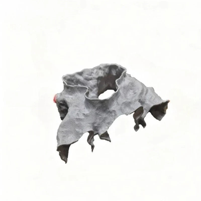 Fish Hiding House Aquascape Ornament - 3D - MyPetDollar.com