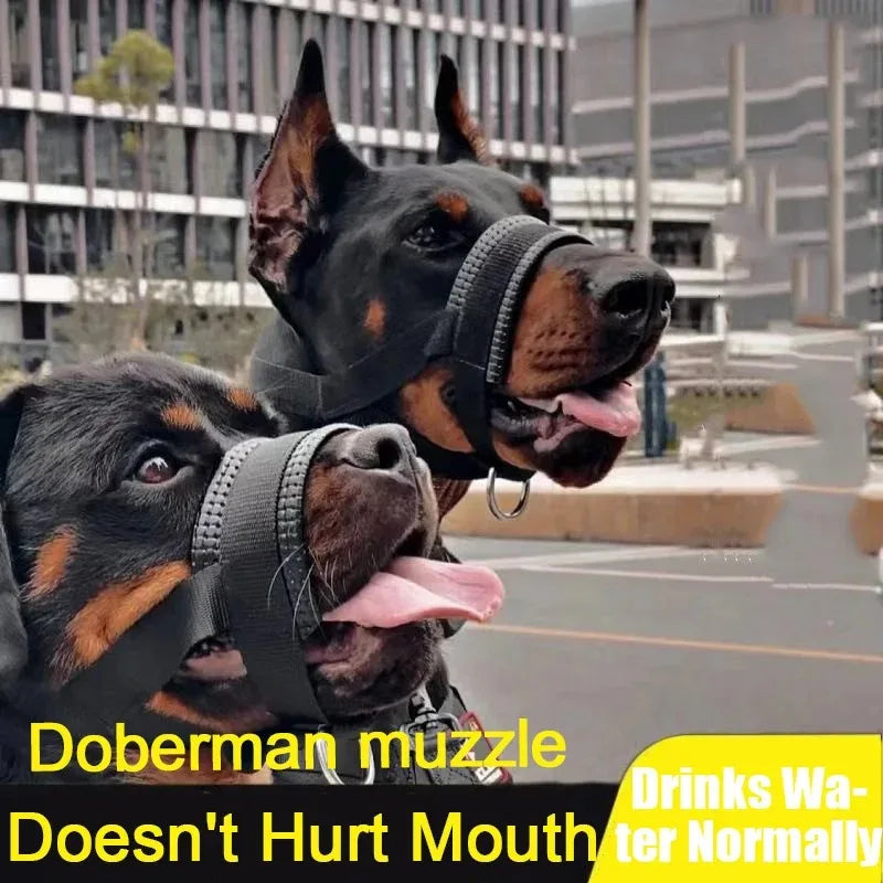 Dog Mouth Muzzle Anti Bark Dog Collar - MyPetDollar.com
