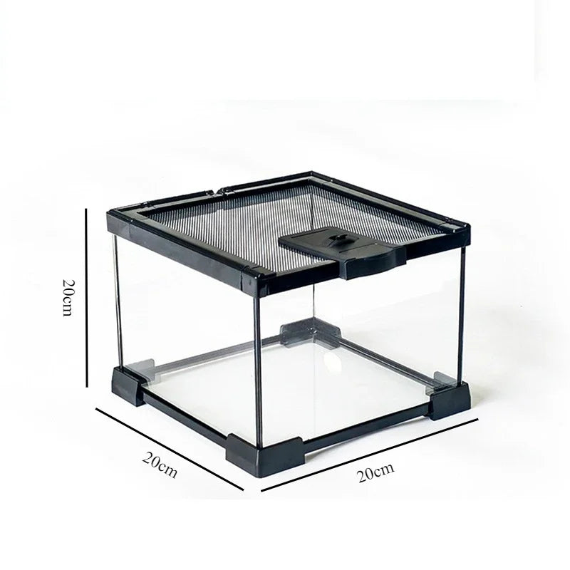 Transparent Terrariums Reptile Amphibians Ecological Tank – 9 Colors