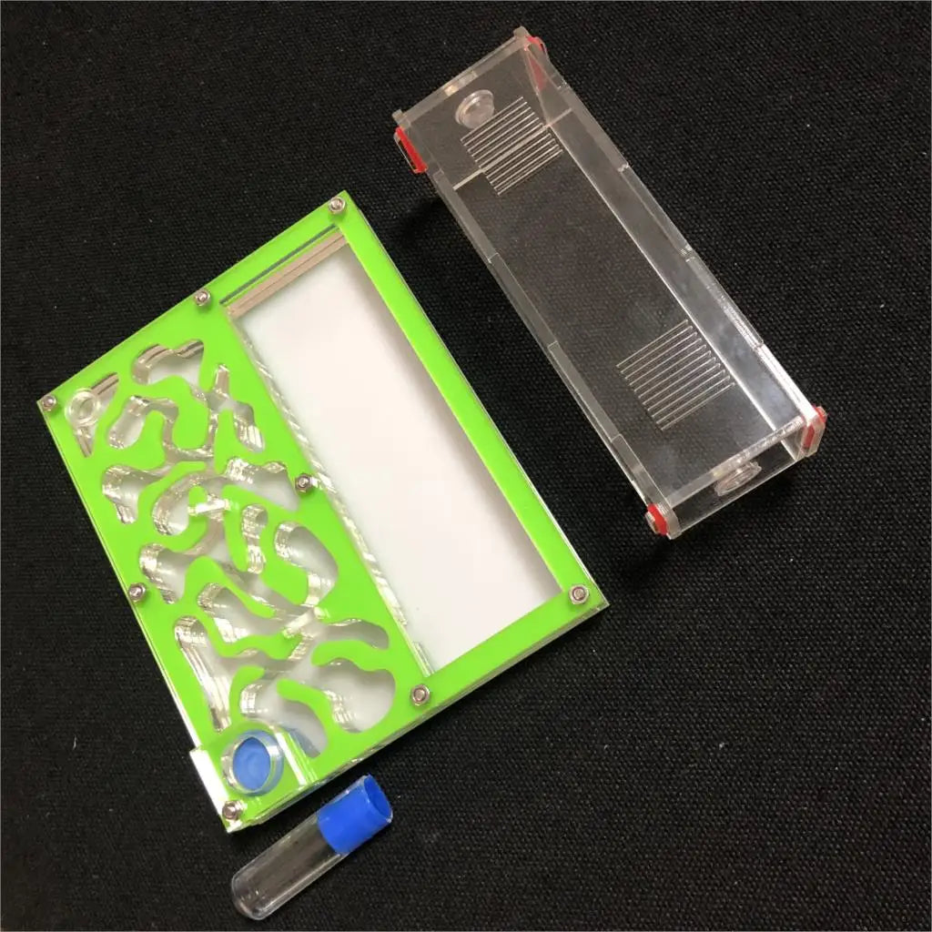 150mmx110mm test tube Moisture big space Ant - MyPetDollar.com