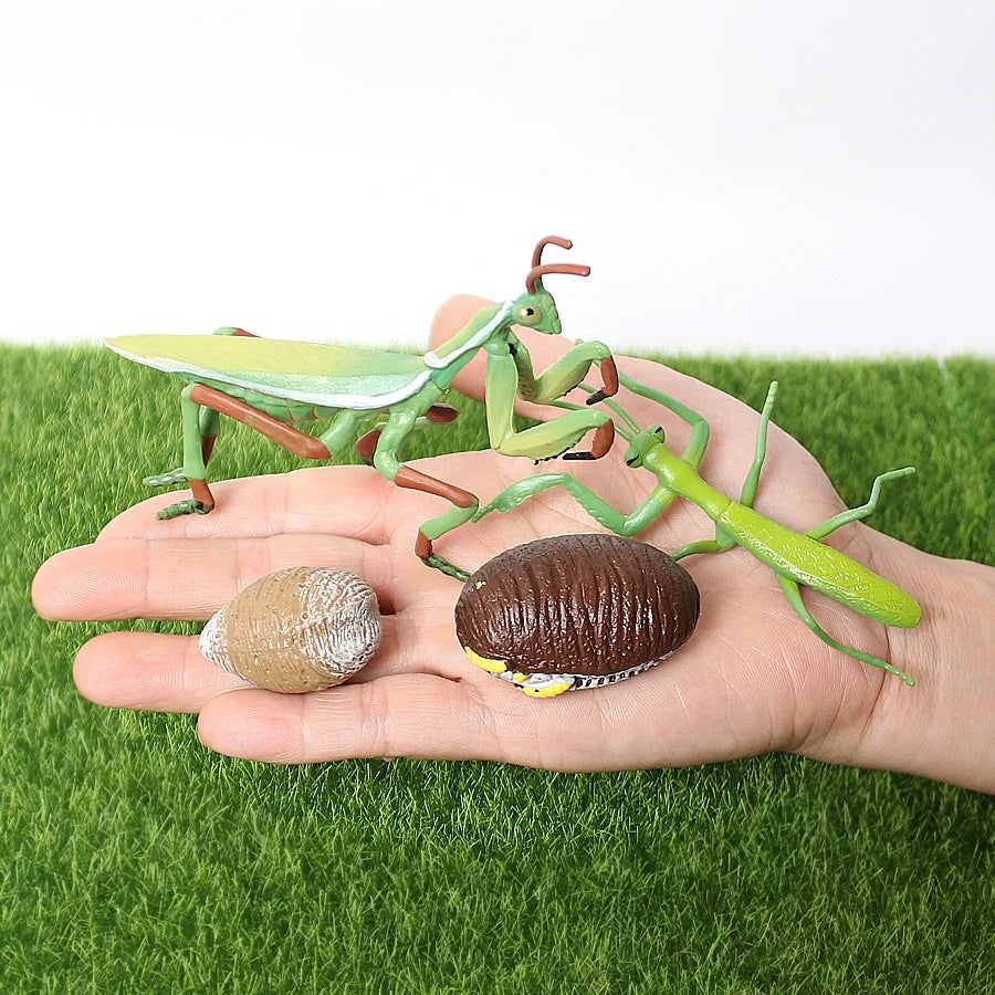 Realistic Insect Grasshopper Mosquito Cicad - MyPetDollar.com