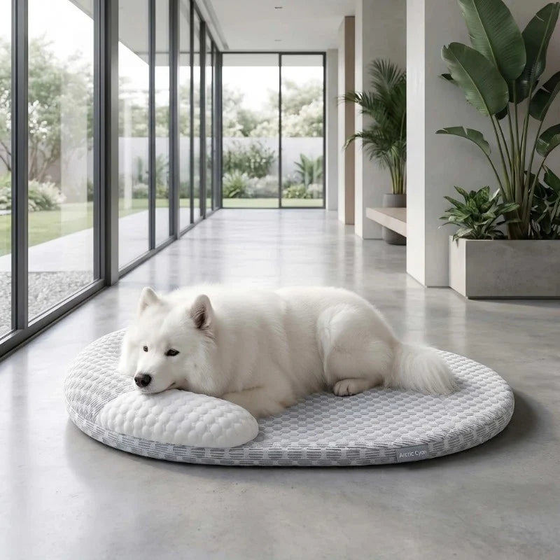 KEMORELA Summer Polka Dot Cooling Dog Bed - MyPetDollar.com
