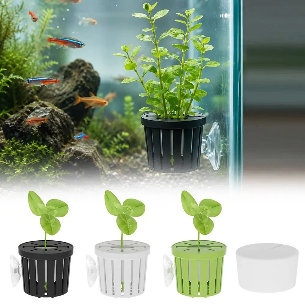 Water Plant Stand Fish Tank Hydroponic - MyPetDollar.com