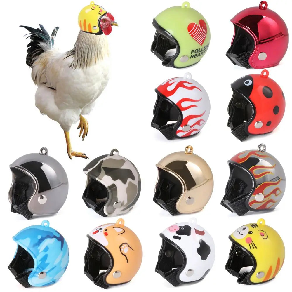 Light Accessories Pet Supplies Sun Rain - MyPetDollar.com