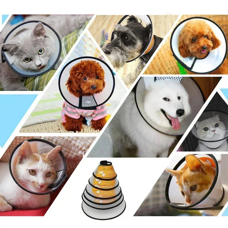 Pet Elizabeth Collar Puppy Anti Bite - MyPetDollar.com