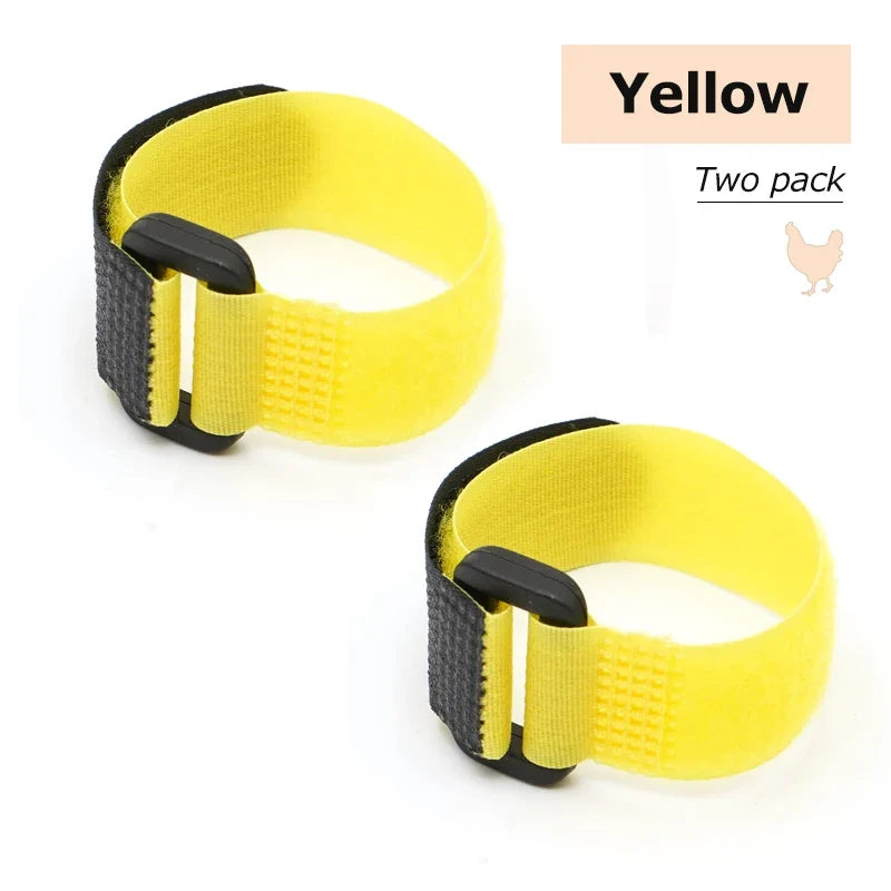No Crow Rooster Collar – 5 Colors