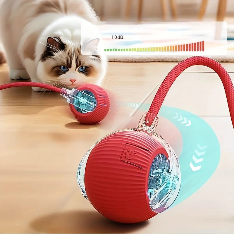 MIAOQUANJI Self-Rolling Cat Toy Ball with - MyPetDollar.com
