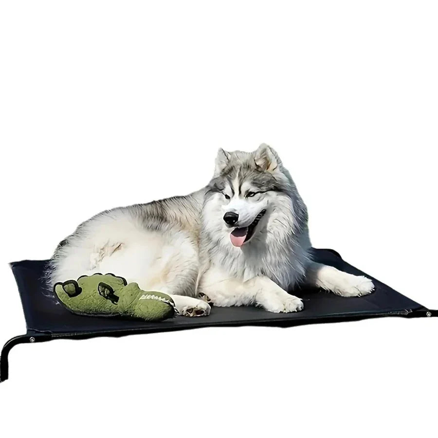 PVC Waterproof Dog Mat Thickened Easy To - MyPetDollar.com