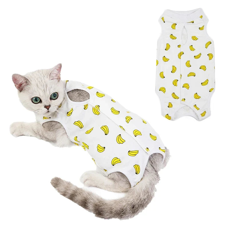 Cat Surgery Recovery - MyPetDollar.com