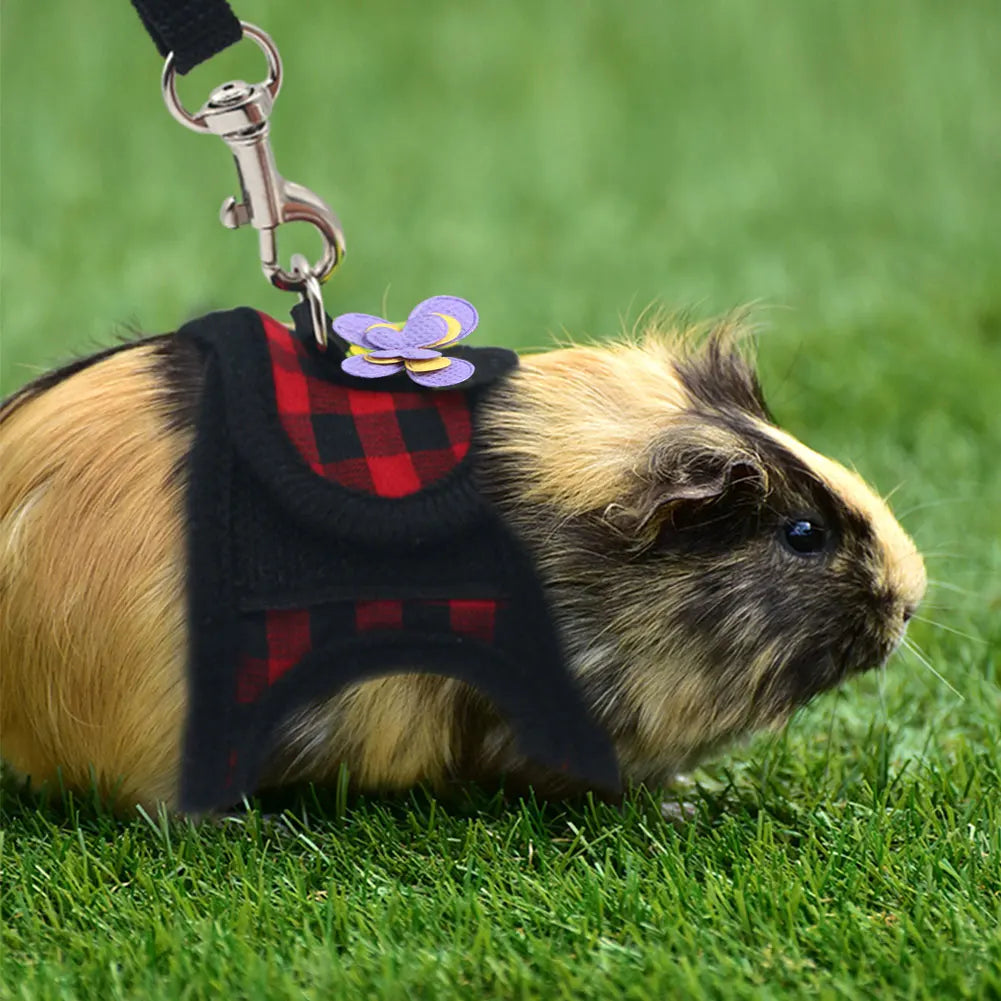 Small Pet Two-legged Chest Strap Outdoor - MyPetDollar.com