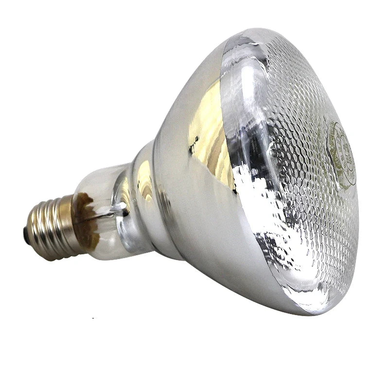 220V 100W/150W/200W/250W Thickened Heating - MyPetDollar.com