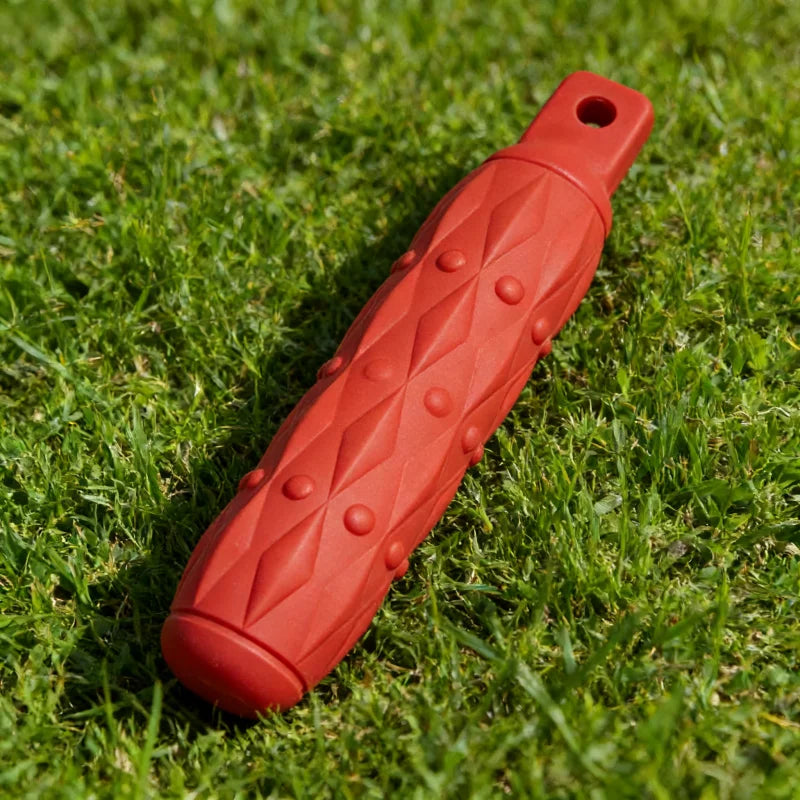 Dogs Eva Biting Stick No Rope Colors Tooth - MyPetDollar.com