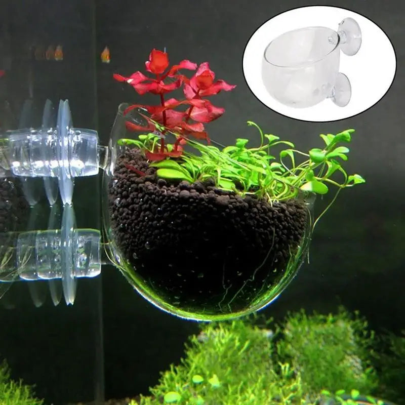 Aquarium Decorations Plant Cup Pot Acrylic - MyPetDollar.com