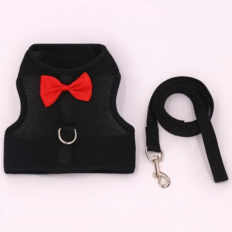 Soft Adjustable Bunny Harness and Leash Set for Small Pets