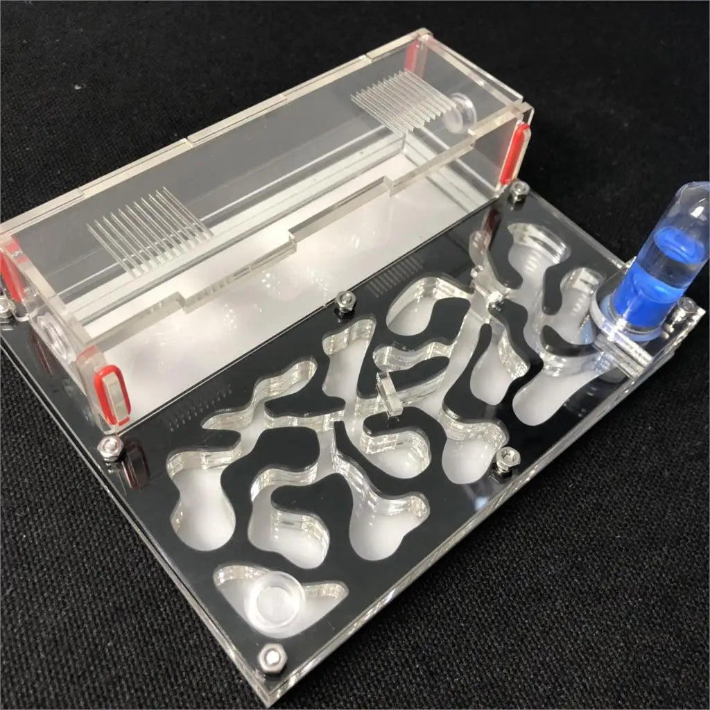 150mmx110mm test tube Moisture big space Ant - MyPetDollar.com