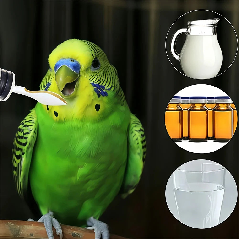 10/6/3pcs Bird Feeding Spoon parrot baby Pet - MyPetDollar.com