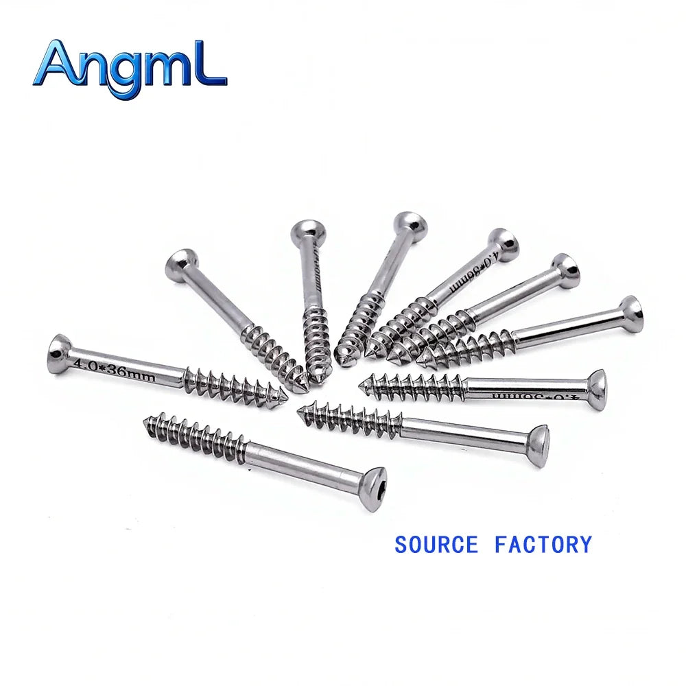 10pcs 2.2/3.0/4.0/6.5mm Stainless Steel Lag - MyPetDollar.com