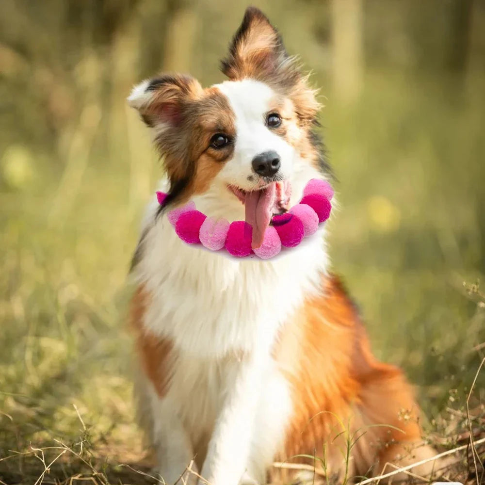 30pcs Pet Dog Rainbow Style Hair Ball - MyPetDollar.com