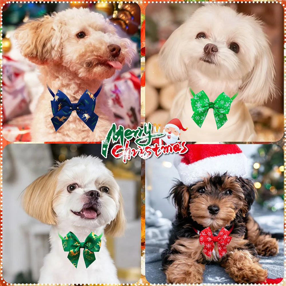 50/100PCSWinter Dog Accessories Adjustable - MyPetDollar.com