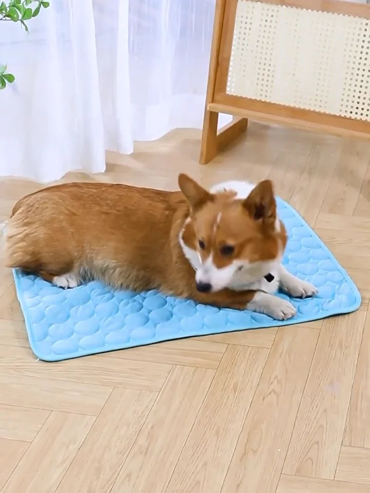 Summer Dog Cooling Mat Pet Ice Bed Durable - MyPetDollar.com