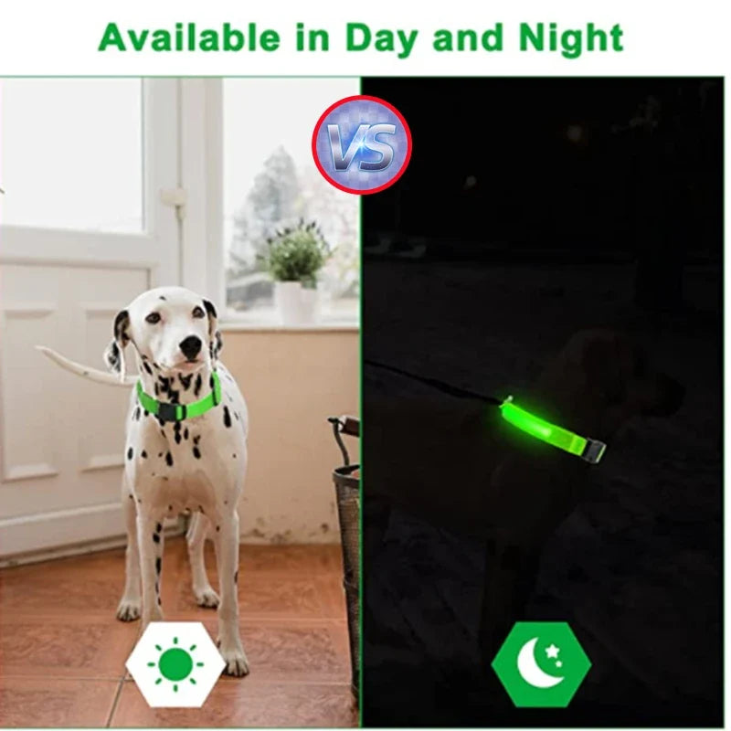 USB Rechargeable Luminous Collar Adjustable - MyPetDollar.com