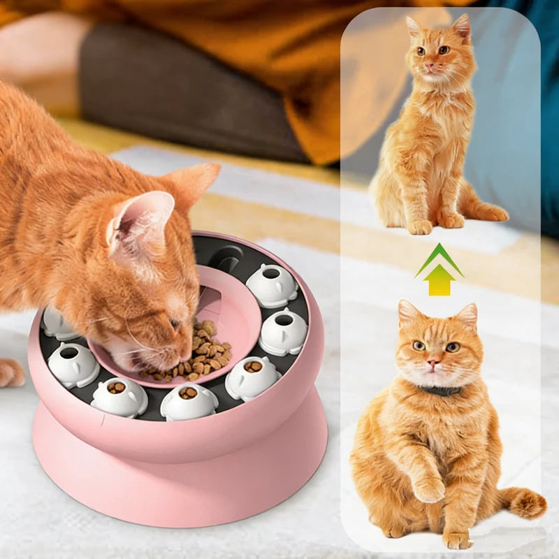 Interactive Cat Toys Slow Feeder Bowl for - MyPetDollar.com