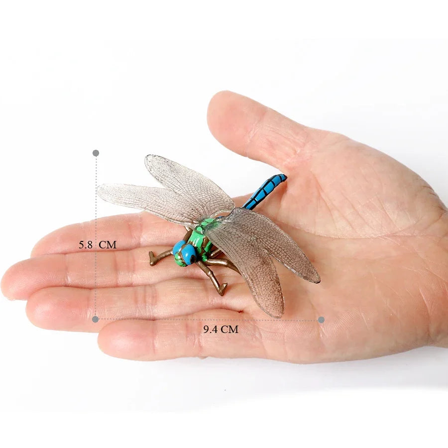 Realistic Insect Grasshopper Mosquito Cicad - MyPetDollar.com