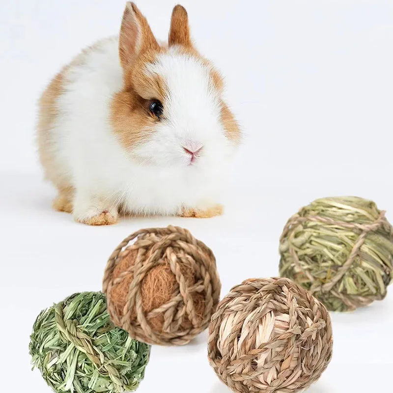 4/5pcs Chewing Braided Ball Guinea Pig - MyPetDollar.com